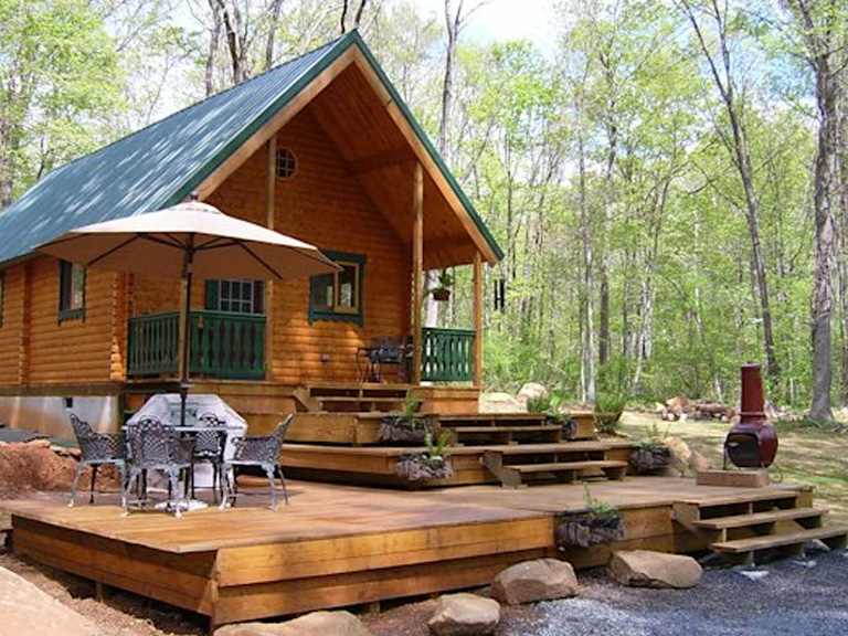 THE WILDERNESS